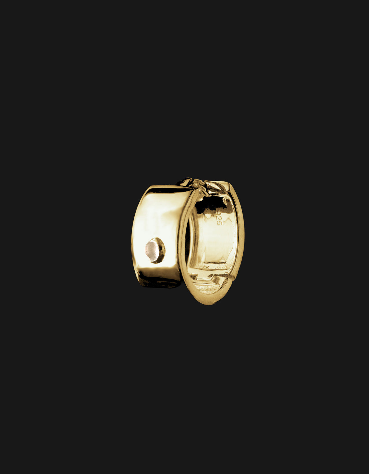 cassini division